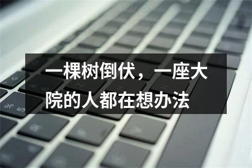 一棵树倒伏，一座大院的人都在想办法