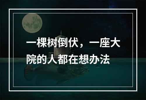 一棵树倒伏，一座大院的人都在想办法