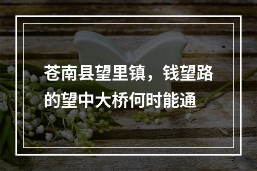 苍南县望里镇，钱望路的望中大桥何时能通