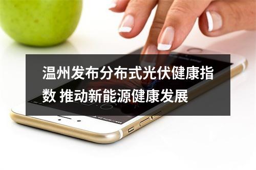 温州发布分布式光伏健康指数 推动新能源健康发展