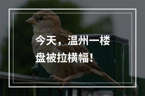 今天，温州一楼盘被拉横幅！