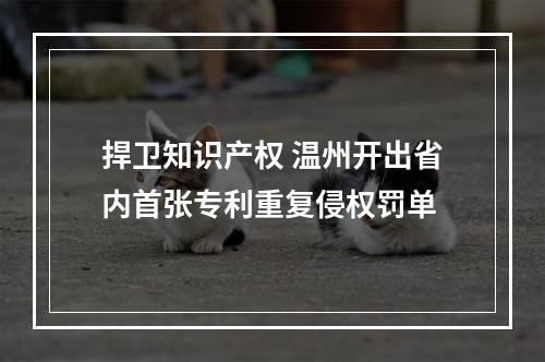 捍卫知识产权 温州开出省内首张专利重复侵权罚单