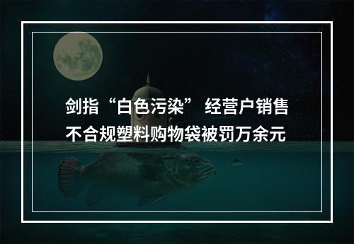 剑指“白色污染” 经营户销售不合规塑料购物袋被罚万余元