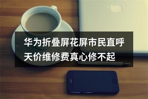 华为折叠屏花屏市民直呼天价维修费真心修不起