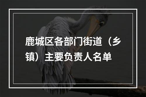 鹿城区各部门街道（乡镇）主要负责人名单
