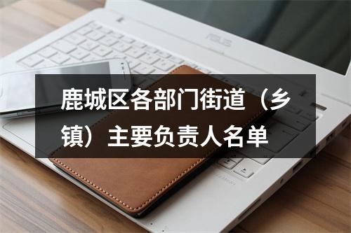 鹿城区各部门街道（乡镇）主要负责人名单
