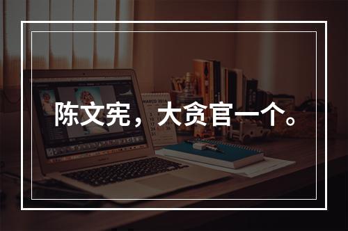 陈文宪，大贪官一个。