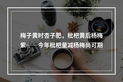 梅子黄时杏子肥，枇杷黄后杨梅紫……今年枇杷量减杨梅尚可期