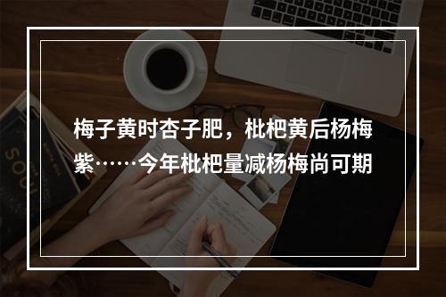 梅子黄时杏子肥，枇杷黄后杨梅紫……今年枇杷量减杨梅尚可期