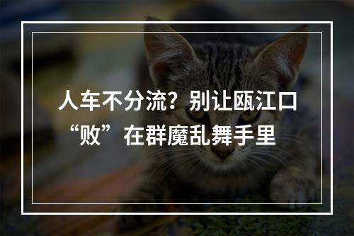 人车不分流？别让瓯江口“败”在群魔乱舞手里