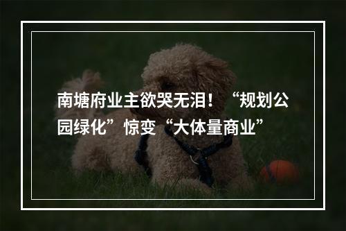 南塘府业主欲哭无泪！“规划公园绿化”惊变“大体量商业”
