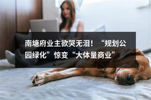 南塘府业主欲哭无泪！“规划公园绿化”惊变“大体量商业”