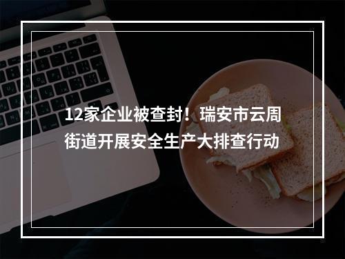 12家企业被查封！瑞安市云周街道开展安全生产大排查行动