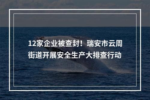 12家企业被查封！瑞安市云周街道开展安全生产大排查行动