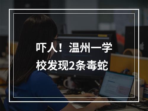 吓人！温州一学校发现2条毒蛇