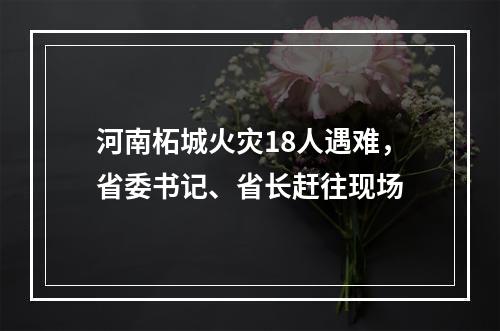 河南柘城火灾18人遇难，省委书记、省长赶往现场