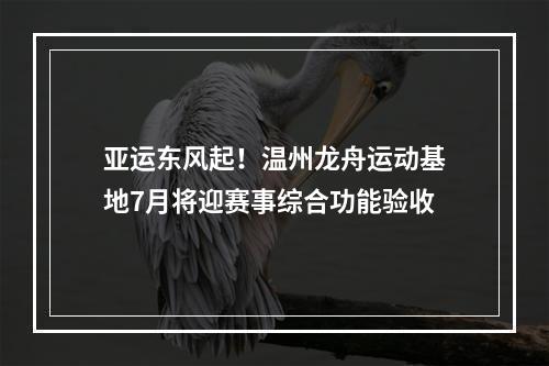 亚运东风起！温州龙舟运动基地7月将迎赛事综合功能验收