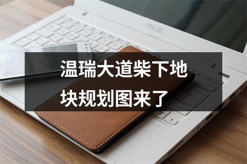 温瑞大道柴下地块规划图来了