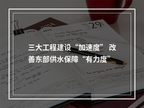 三大工程建设“加速度” 改善东部供水保障“有力度”