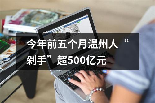 今年前五个月温州人“剁手”超500亿元