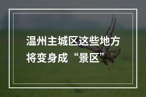 温州主城区这些地方将变身成“景区”