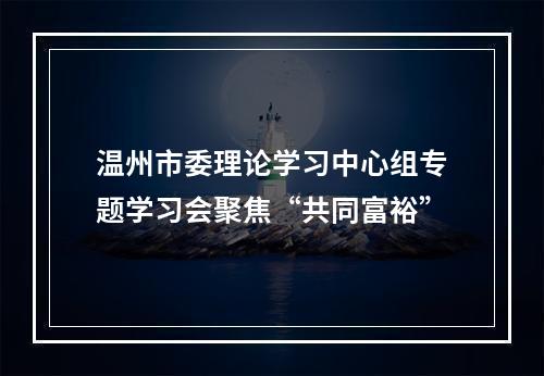 温州市委理论学习中心组专题学习会聚焦“共同富裕”