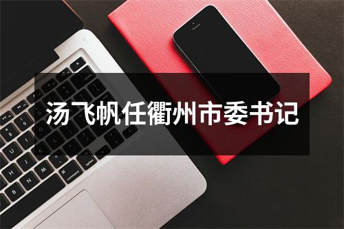 汤飞帆任衢州市委书记