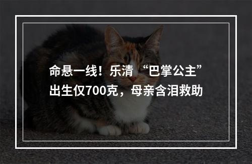 命悬一线！乐清 “巴掌公主”出生仅700克，母亲含泪救助