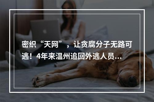 密织“天网”，让贪腐分子无路可逃！4年来温州追回外逃人员295人