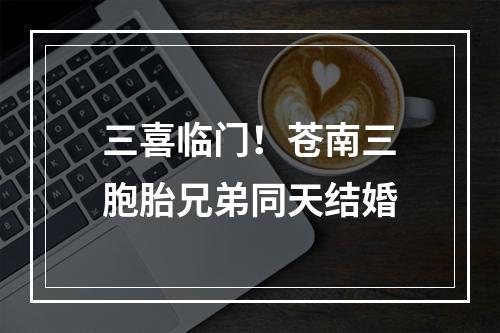 三喜临门！苍南三胞胎兄弟同天结婚
