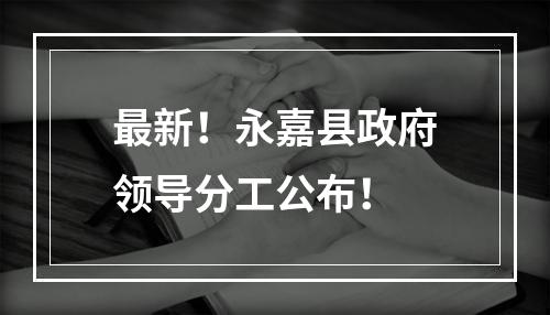 最新！永嘉县政府领导分工公布！