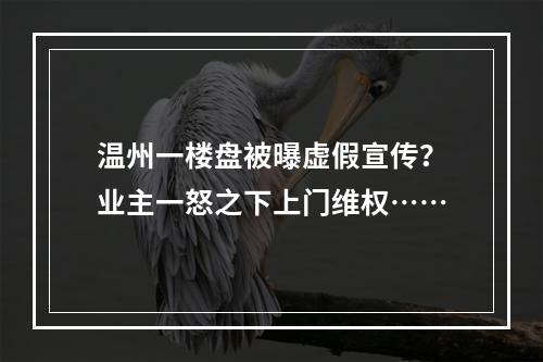 温州一楼盘被曝虚假宣传？业主一怒之下上门维权……