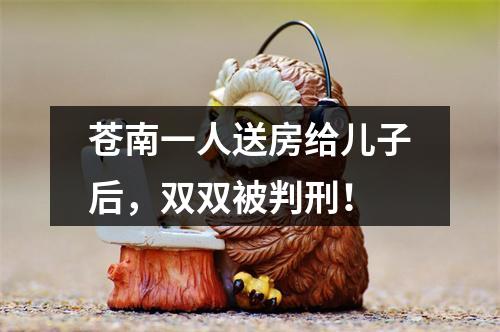 苍南一人送房给儿子后，双双被判刑！