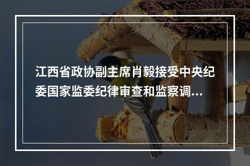 江西省政协副主席肖毅接受中央纪委国家监委纪律审查和监察调查