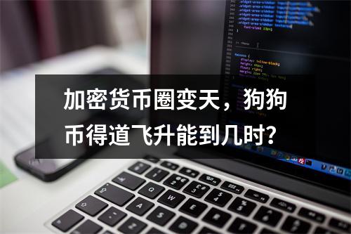 加密货币圈变天，狗狗币得道飞升能到几时？