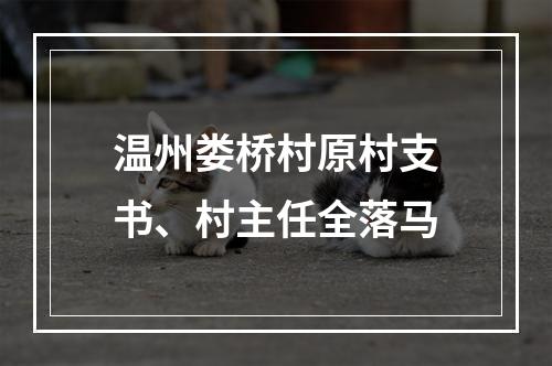 温州娄桥村原村支书、村主任全落马