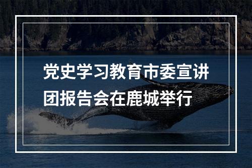 党史学习教育市委宣讲团报告会在鹿城举行