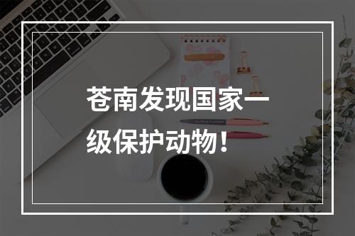 苍南发现国家一级保护动物！