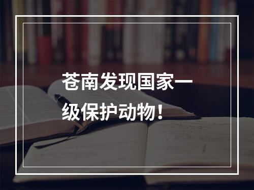 苍南发现国家一级保护动物！
