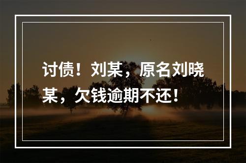 讨债！刘某，原名刘晓某，欠钱逾期不还！