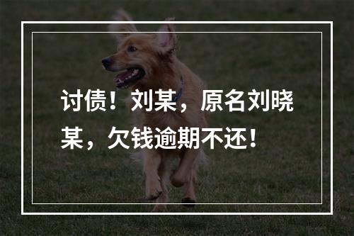 讨债！刘某，原名刘晓某，欠钱逾期不还！