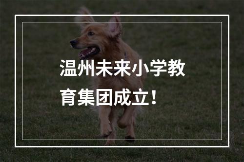 温州未来小学教育集团成立！