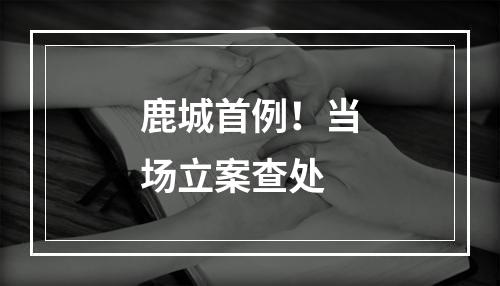 鹿城首例！当场立案查处