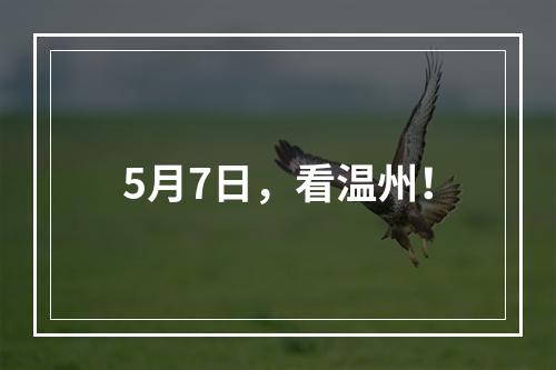 5月7日，看温州！