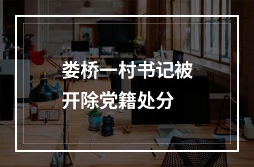 娄桥一村书记被开除党籍处分
