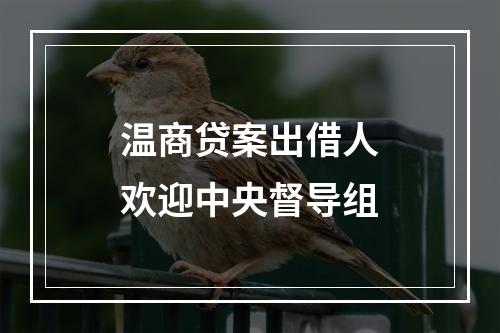 温商贷案出借人欢迎中央督导组