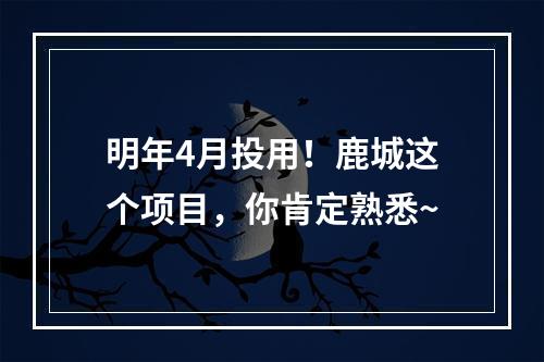 明年4月投用！鹿城这个项目，你肯定熟悉~