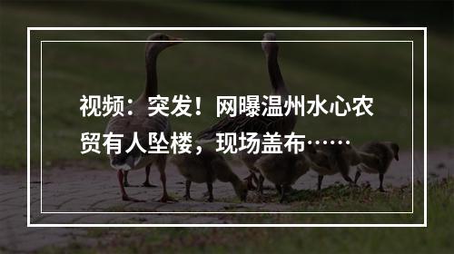 视频：突发！网曝温州水心农贸有人坠楼，现场盖布……