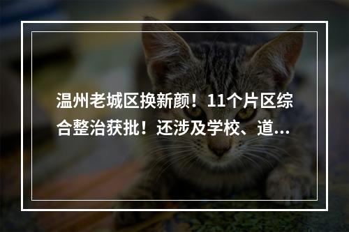 温州老城区换新颜！11个片区综合整治获批！还涉及学校、道路