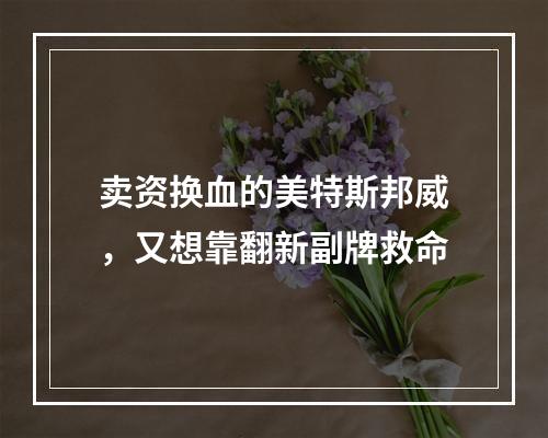 卖资换血的美特斯邦威，又想靠翻新副牌救命